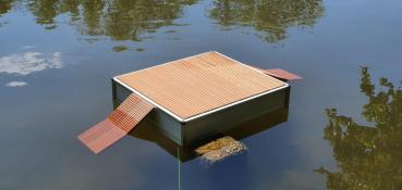 AS-Teichschildkrötenschwimminsel Roland